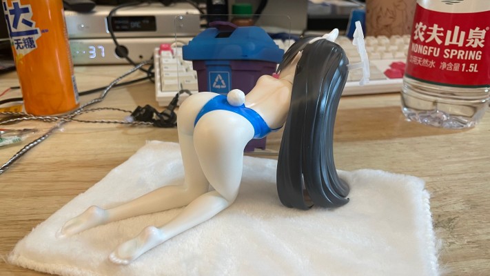 蔚蓝档案 邦尼美游