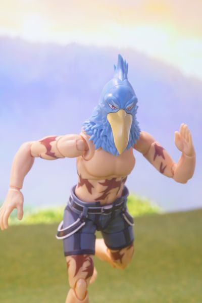 S.H.Figuarts 香格里拉边境 SUN乐（阳乐）