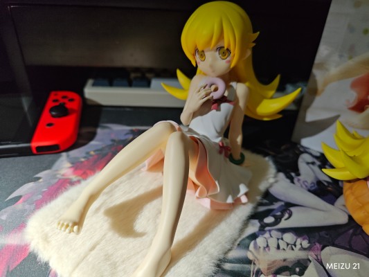 西尾维新动画片项目 物语系列 -悠闲时光-忍野忍