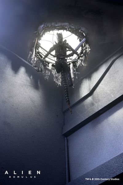 异形：罗慕路斯 - 豪华悬浮实验室异形 XX121 7 英寸比例可动人偶