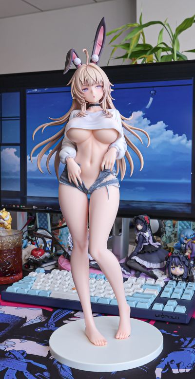 来自异世界的精灵少女 拉比