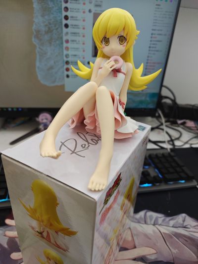 西尾维新动画片项目 物语系列 -悠闲时光-忍野忍