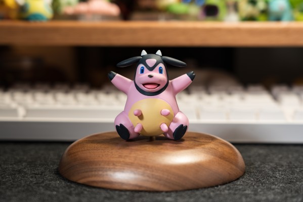 宝可梦比例世界 城都地区 小茜+大奶罐