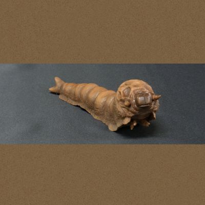 东宝大怪兽系列 拉顿(1964版)