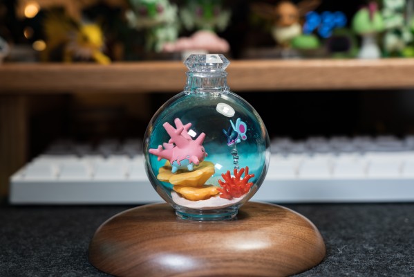 宝可梦 水瓶系列 相逢岸边美景