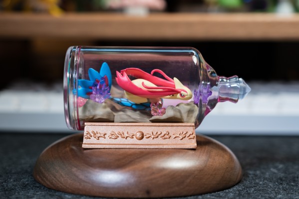 宝可梦 水瓶系列 相逢岸边美景