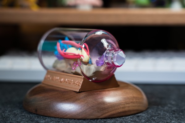 宝可梦 水瓶系列 相逢岸边美景