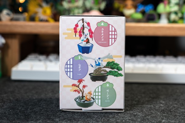 精灵宝可梦 宝可梦盆栽2 小小的四季故事