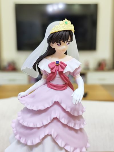 Xross Link 名侦探柯南  毛利兰