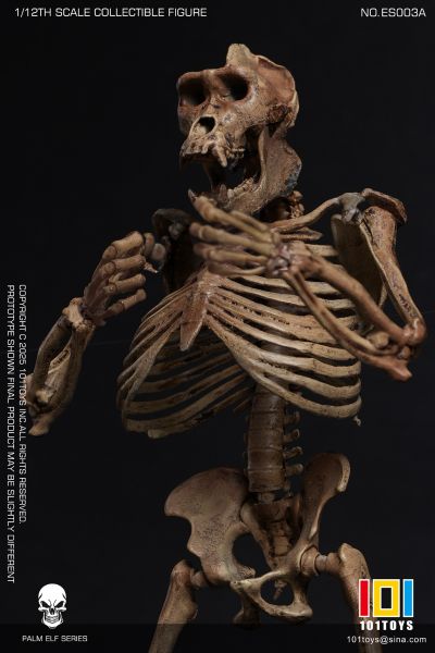 NO.ES003A 掌上精灵系列 猩猩骷髅骨架素体-原色版