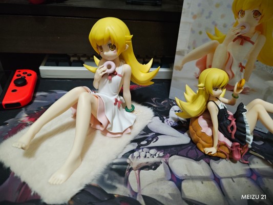 西尾维新动画片项目 物语系列 -悠闲时光-忍野忍