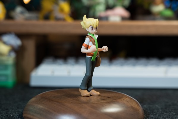 宝可梦比例世界 神奥地区 阿驯+树林龟+姆克鹰