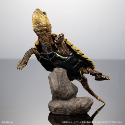 进化生物大图鉴 龟02 附带磁铁的石头形展示架套装