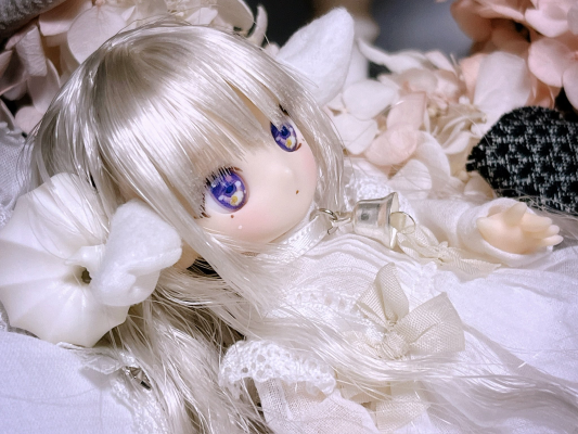 DIA001-MAR 迪亚斯 MUGUET×AkaiCamera 蕾姆/～睡觉的小羊羔～ AZONE网上商店限定