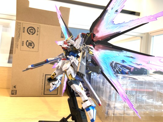 METAL ROBOT魂＜机动战士系列＞无限正义高达二式