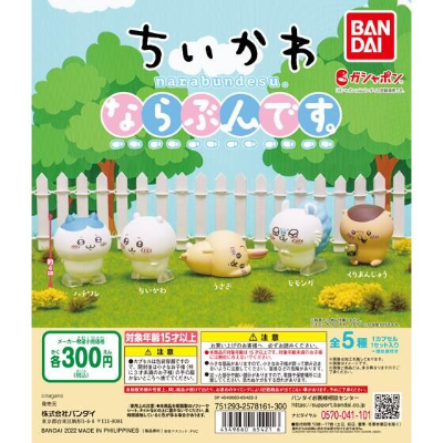 吉伊咔哇 排队队