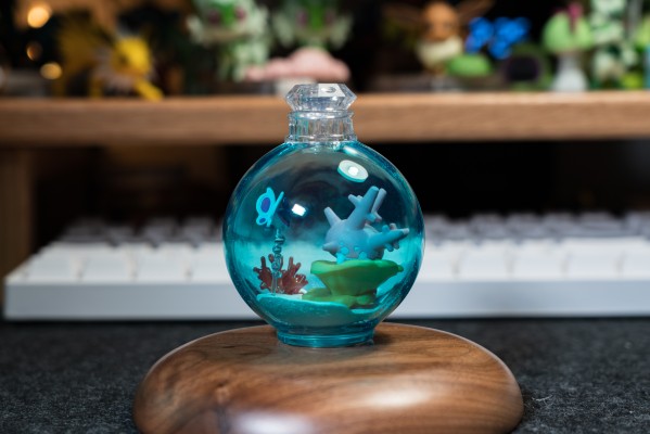 宝可梦 水瓶系列 相逢岸边美景