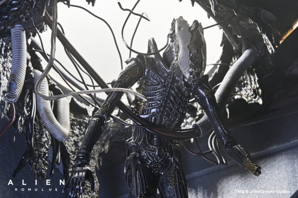 异形：罗慕路斯 - 豪华悬浮实验室异形 XX121 7 英寸比例可动人偶