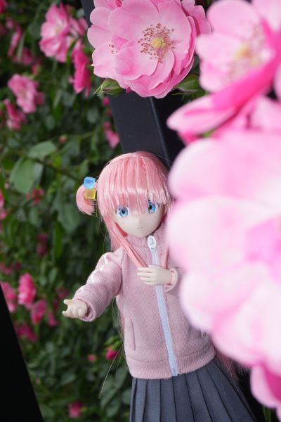 PureNeemo角色系列 No.160  孤独摇滚！ 后藤独