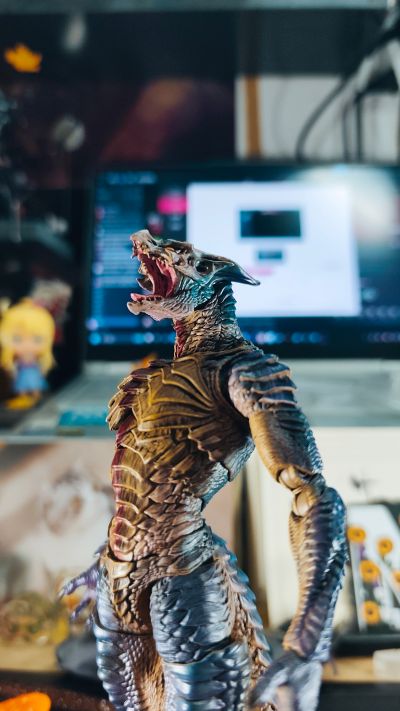 末裔 最初的回响者 阿尔伽 常态