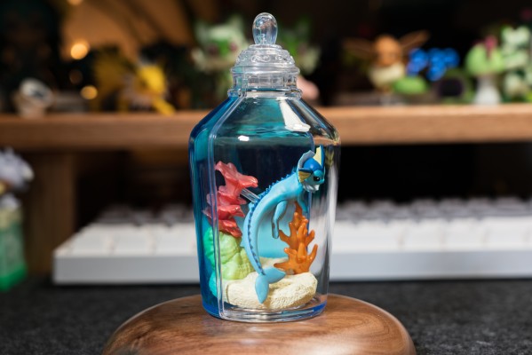 宝可梦 水瓶系列 相逢岸边美景