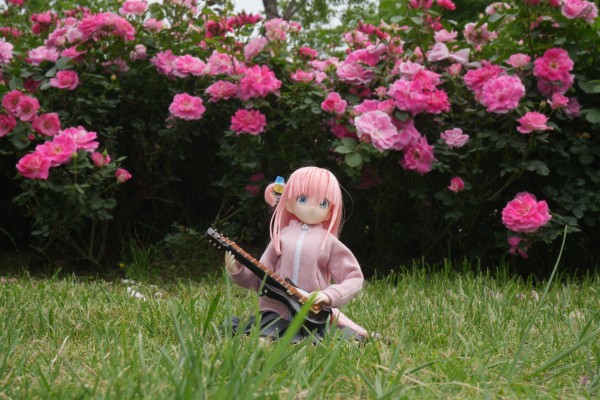 PureNeemo角色系列 No.160  孤独摇滚！ 后藤独