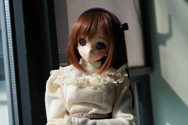 艾莉丝 收集 ver.1.1 