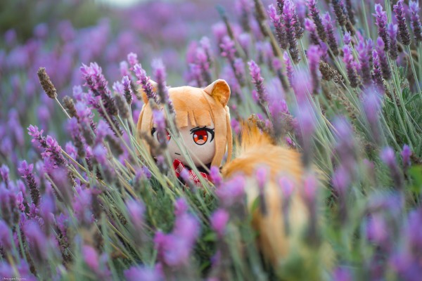 狼与香辛料 merchant meets the wise wolf 大尺寸40公分毛绒玩偶 赫萝