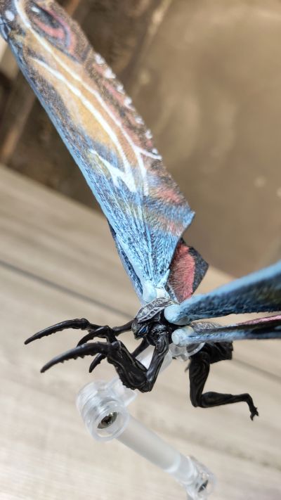 极致超值系列 哥斯拉2：怪兽之王 摩斯拉