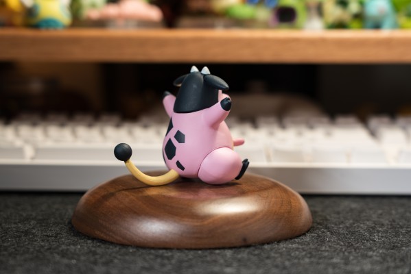 宝可梦比例世界 城都地区 小茜+大奶罐