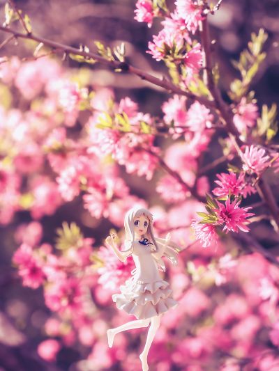 Premium Prize 未闻花名 本间芽衣子