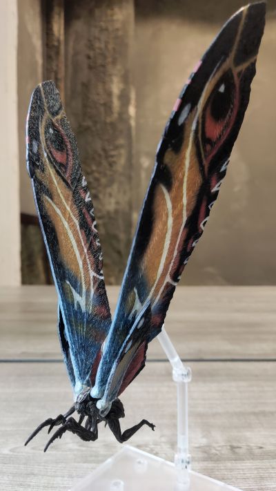 极致超值系列 哥斯拉2：怪兽之王 摩斯拉