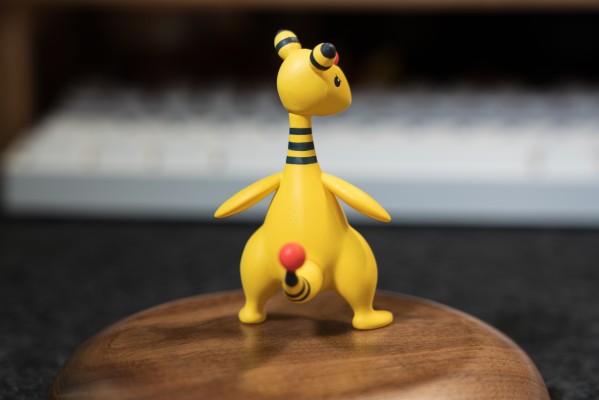 宝可梦比例世界 城都地区2套装