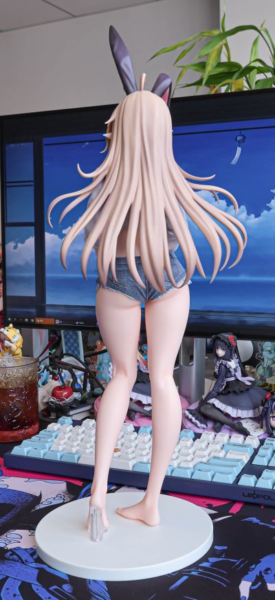 来自异世界的精灵少女 拉比