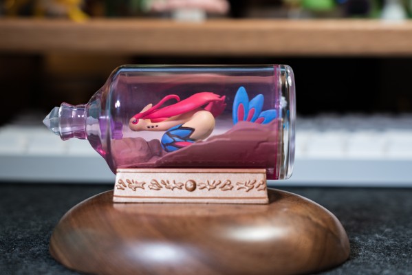 宝可梦 水瓶系列 相逢岸边美景