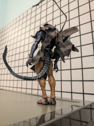 末裔 最初的回响者 阿尔伽 常态