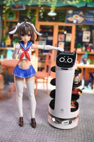 Pudu BellaBot 贝拉机器人