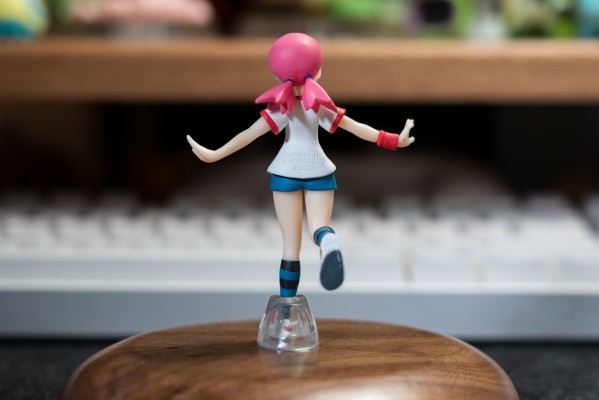 宝可梦比例世界 城都地区 小茜+大奶罐