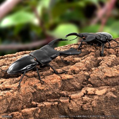 生物大图鉴 锹甲10 树皮底座（小号）套装