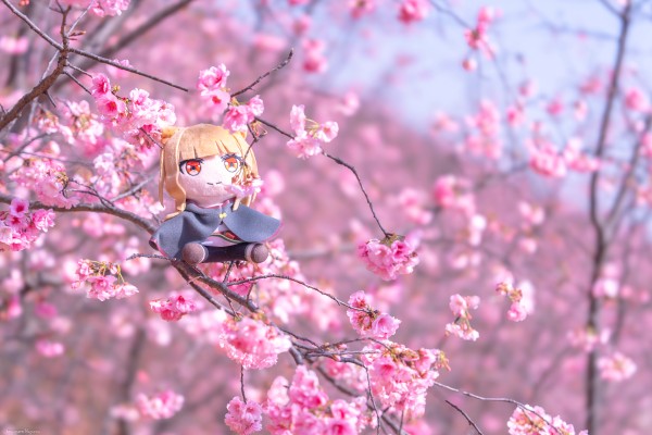 狼与香辛料 merchant meets the wise wolf 大尺寸40公分毛绒玩偶 赫萝