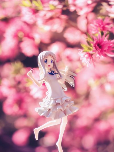 Premium Prize 未闻花名 本间芽衣子