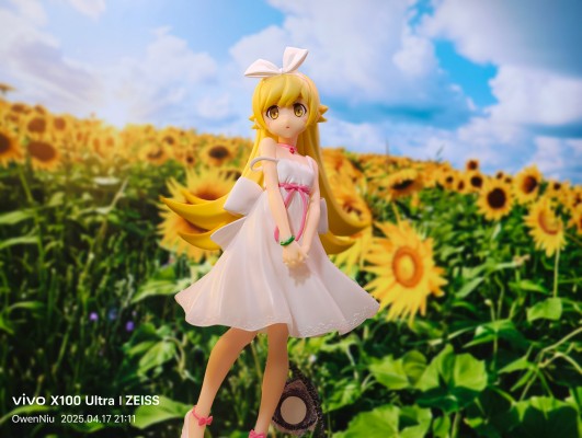 西尾维新动画片项目 物语系列 ESPRESTO-Clear material another color-忍野忍