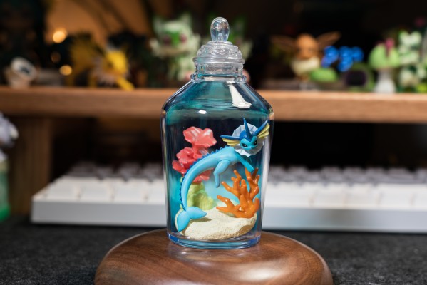 宝可梦 水瓶系列 相逢岸边美景