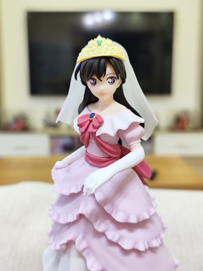 Xross Link 名侦探柯南  毛利兰