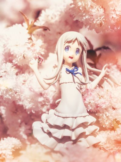 Premium Prize 未闻花名 本间芽衣子