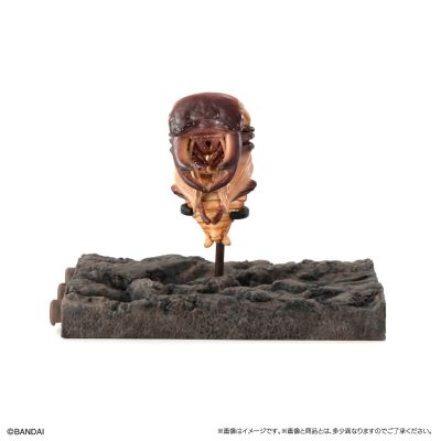 生物大图鉴 锹甲10 树皮底座（小号）套装