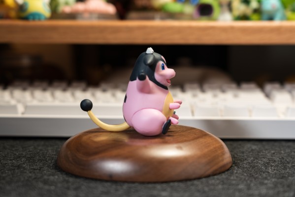 宝可梦比例世界 城都地区 小茜+大奶罐