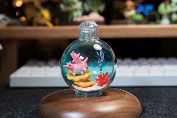 宝可梦 水瓶系列 相逢岸边美景