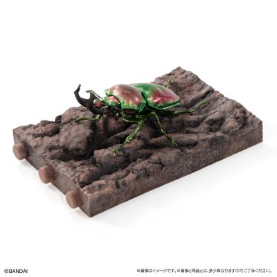 生物大图鉴 锹甲10 树皮底座（小号）套装