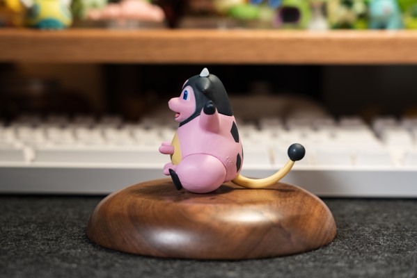 宝可梦比例世界 城都地区 小茜+大奶罐